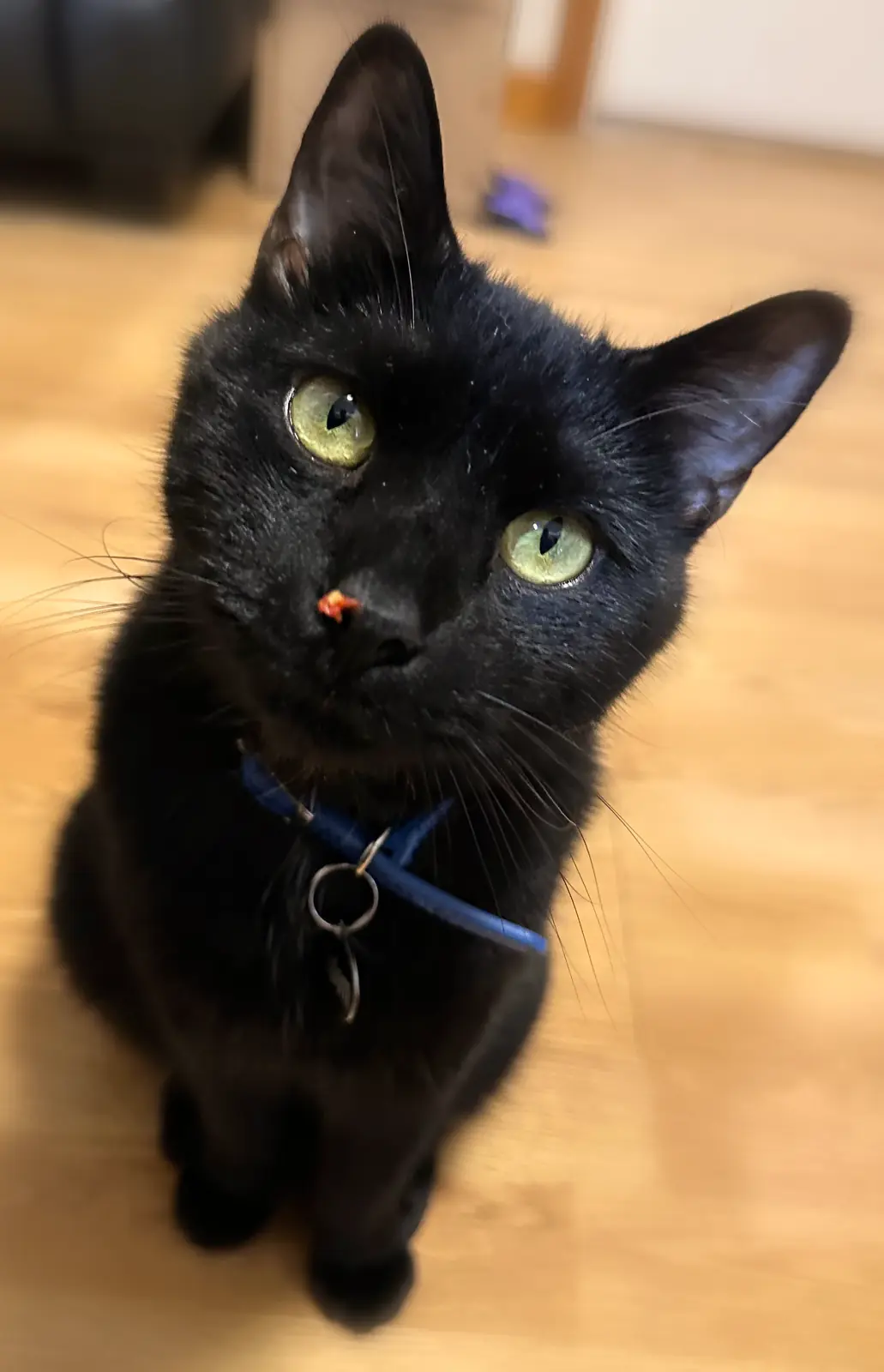 Salem